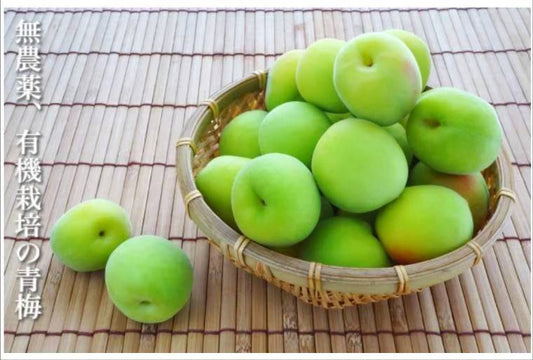 2026ume）奈良の有機青梅　約１kg（梅酒・シロップ用／白加賀Ｌ〜3Ｌ混）