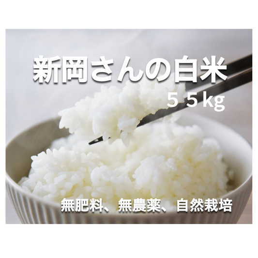 【新米】【定期便】新岡さんの駒の舞・白米　令和８年産       限定セット   自然栽培米55㎏（約4.6㎏×12袋） 【3回の配送】