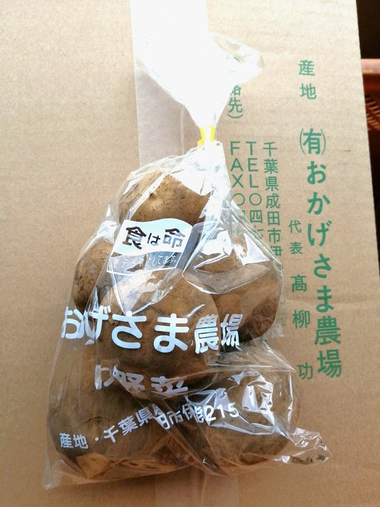 おかげさまのじゃが芋（キタアカリ）600gP　無農薬・無化学肥料（千葉県）おかげさま農場