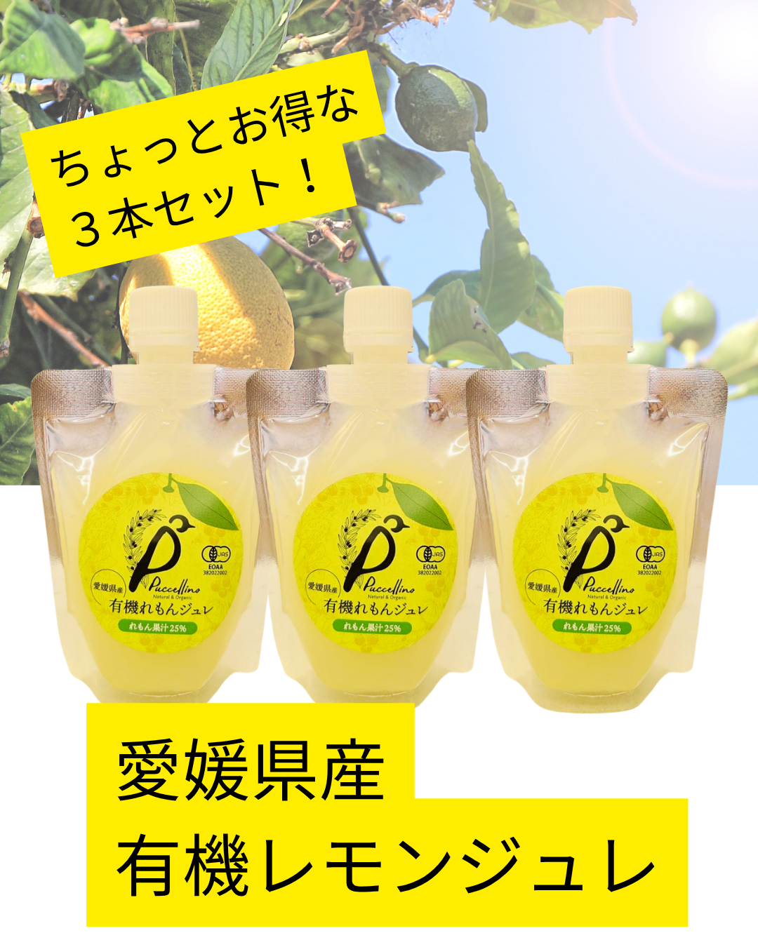 【夏の送り物2026】有機レモンジュレ　１６５g×３本セット