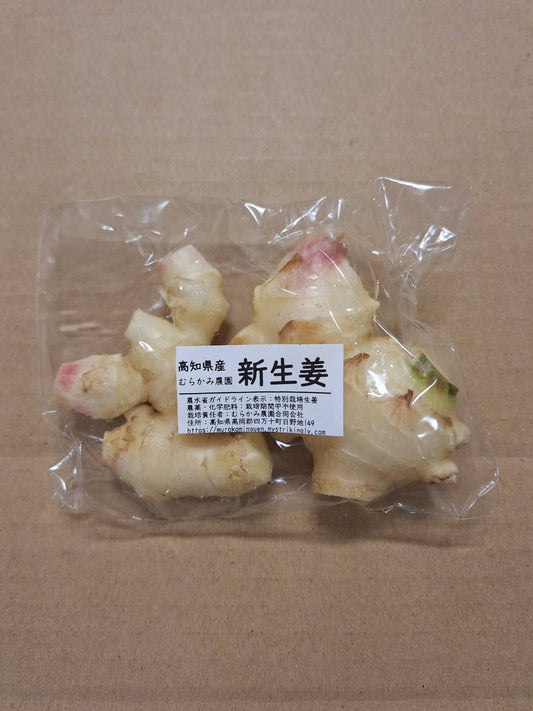 【2026お正月】村上農園の新しょうが 100gP 無農薬・無化学（高知県）村上農園　 ※12/28日～30日　お届け限定