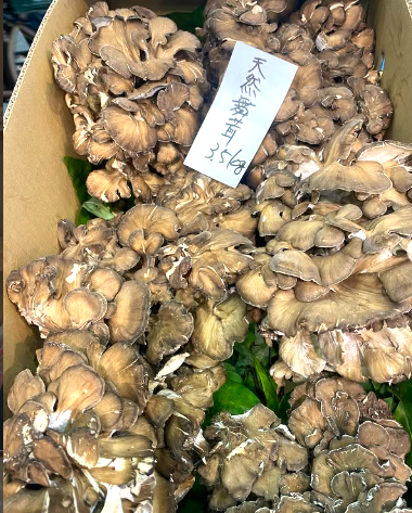 目利き社長が選んだ天然！青森県産 舞茸 約５００g